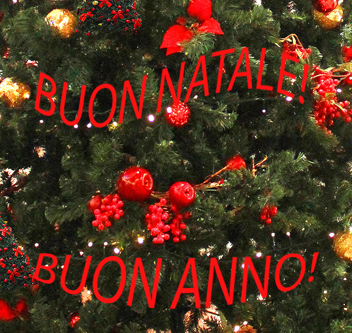 Buon Natale E Felice Anno Nuovo 2019 Ristorante Caffetteria